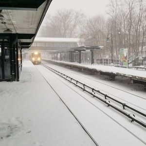 Meet your Posher, Frank